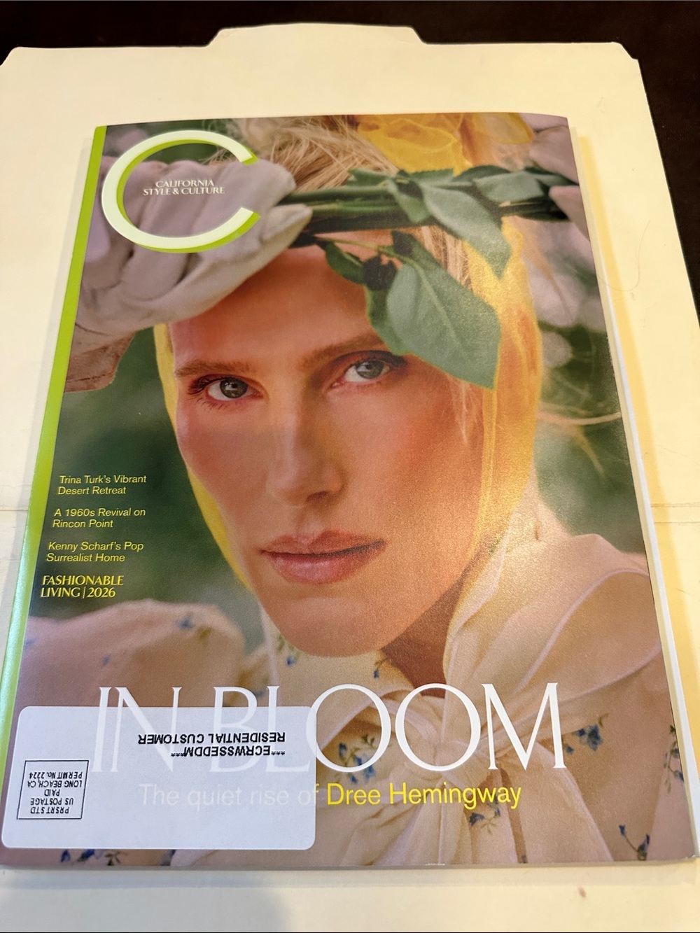 C Magazine "In Bloom" Cover Featuring Dree Hemingway - Pastel Green & Cream